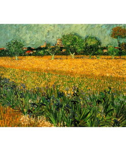 Vincent van Gogh - View of arles with irises in the foreground festményének másolata, 40 x 30 cm