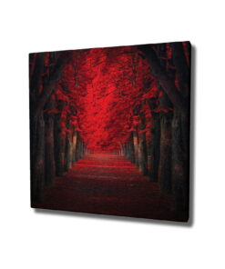 Red Trees vászon fali kép, 45 x 45 cm