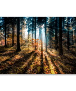 Glasspik Autumn Sunset kép, 70 x 100 cm - Styler
